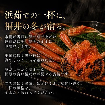 【さとふる限定】越前がに 茹で 1.3kg以上 1杯 福井県産ズワイガニ