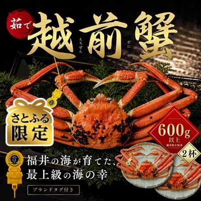 【さとふる限定】越前がに 茹で 600g以上 2杯 福井県産ズワイガニ