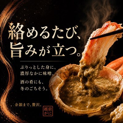 【さとふる限定】越前がに 茹で 600g以上 2杯 福井県産ズワイガニ