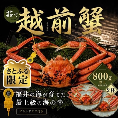 【さとふる限定】越前がに 茹で 800g以上 2杯 福井県産ズワイガニ