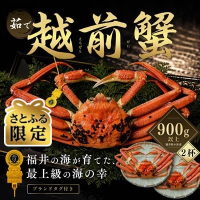【さとふる限定】越前がに 茹で 900g以上 2杯 福井県産ズワイガニ