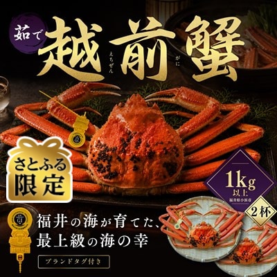 【さとふる限定】越前がに 茹で 1kg以上 2杯 福井県産ズワイガニ