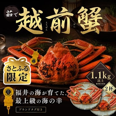 【さとふる限定】越前がに 茹で 1.1kg以上 2杯 福井県産ズワイガニ