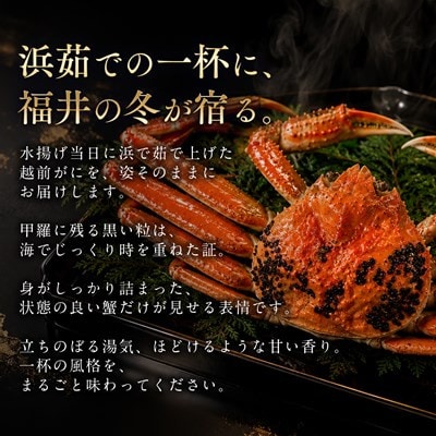 【さとふる限定】越前がに 茹で 1.1kg以上 2杯 福井県産ズワイガニ