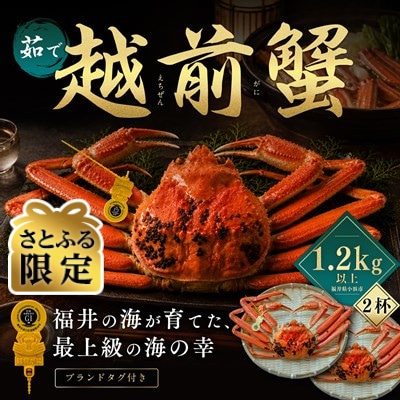 【さとふる限定】越前がに 茹で 1.2kg以上 2杯 福井県産ズワイガニ