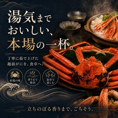 【さとふる限定】越前がに 茹で 1.2kg以上 2杯 福井県産ズワイガニ