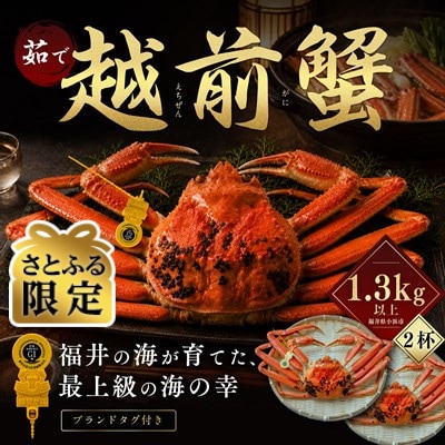 【さとふる限定】越前がに 茹で 1.3kg以上 2杯 福井県産ズワイガニ