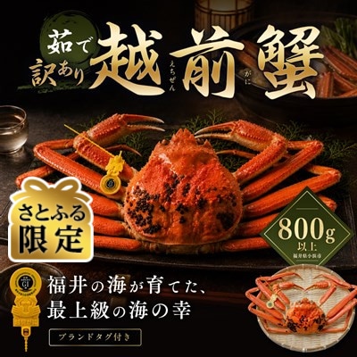 【さとふる限定】【訳あり】越前がに 茹で 800g以上 1杯 福井県産ズワイガニ 脚折れ・欠け