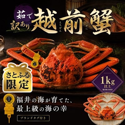 【さとふる限定】【訳あり】越前がに 茹で 1kg以上 1杯 福井県産ズワイガニ 脚折れ・欠け