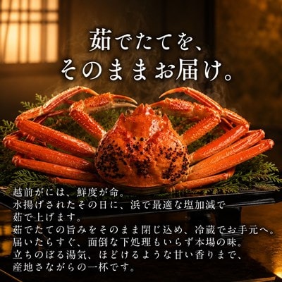【さとふる限定】【訳あり】越前がに 茹で 1kg以上 1杯 福井県産ズワイガニ 脚折れ・欠け