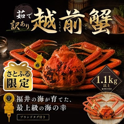 【さとふる限定】【訳あり】越前がに 茹で 1.1kg以上 1杯 福井県産ズワイガニ 脚折れ・欠け