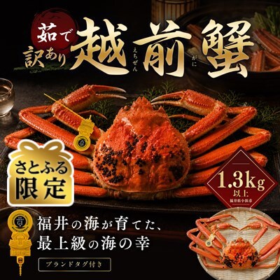 【さとふる限定】【訳あり】越前がに 茹で 1.3kg以上 1杯 福井県産ズワイガニ 脚折れ・欠け