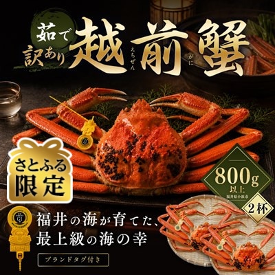 【さとふる限定】【訳あり】越前がに 茹で 800g以上 2杯 福井県産ズワイガニ 脚折れ・欠け