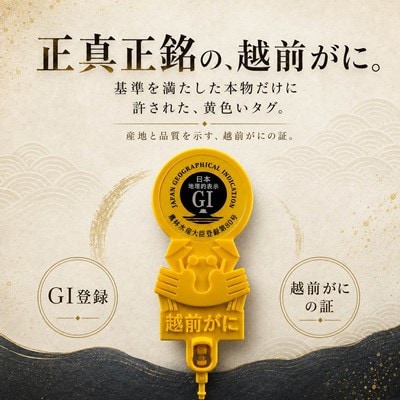 【さとふる限定】【訳あり】越前がに 茹で 800g以上 2杯 福井県産ズワイガニ 脚折れ・欠け
