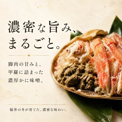 【さとふる限定】【訳あり】越前がに 茹で 900g以上 2杯 福井県産ズワイガニ 脚折れ・欠け