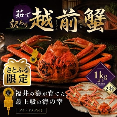 【さとふる限定】【訳あり】越前がに 茹で 1kg以上 2杯 福井県産ズワイガニ 脚折れ・欠け