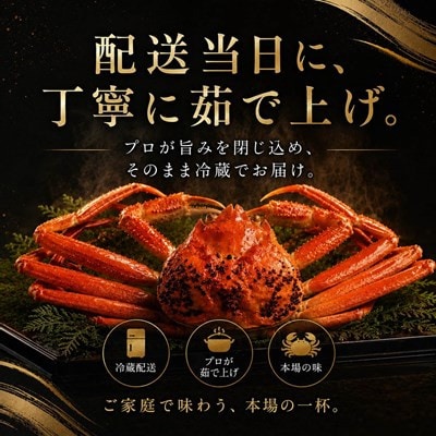 【さとふる限定】【訳あり】越前がに 茹で 1kg以上 2杯 福井県産ズワイガニ 脚折れ・欠け