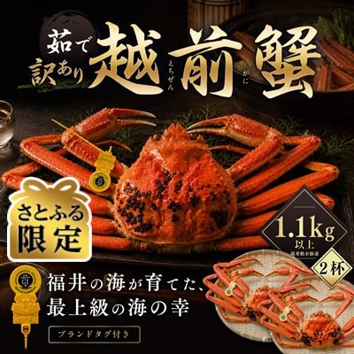 【さとふる限定】【訳あり】越前がに 茹で 1.1kg以上 2杯 福井県産ズワイガニ 脚折れ・欠け
