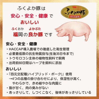 工場直送・鮮度抜群・ダイナミック　【ふくよか豚】豚ヒレブロック　約1.5kg