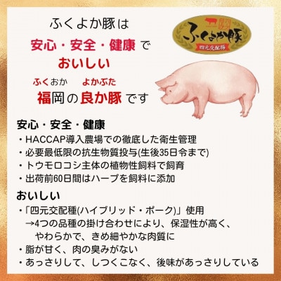 工場直送・鮮度抜群・ダイナミック　【ふくよか豚】豚スペアリブブロックカット2枚　約2kg