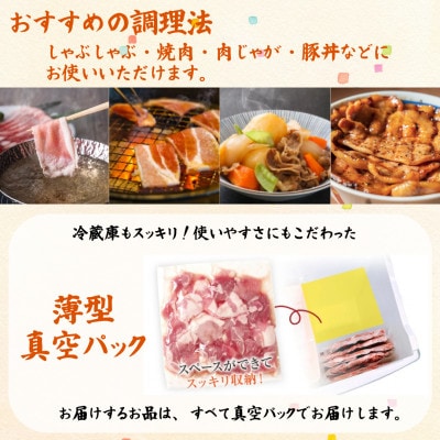 福岡県産ふくよか豚詰合せセットB