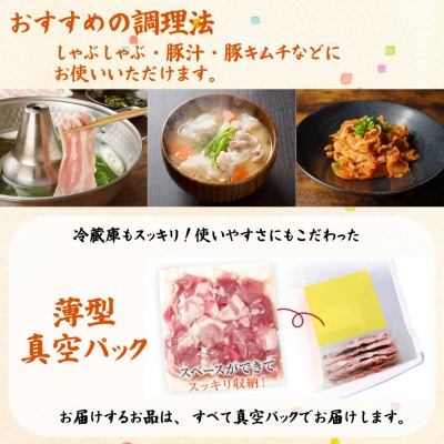 福岡県産ふくよか豚詰合せセットD