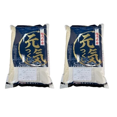 令和5年産　福岡県　元気つくし　10kg(5kg×2)