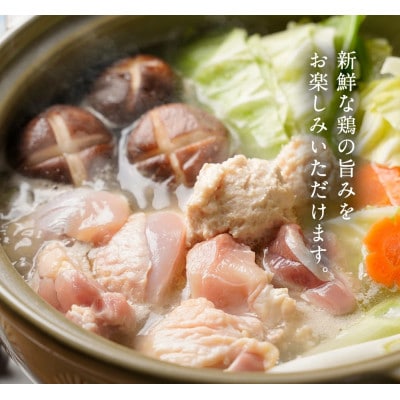 福岡限定!はかた地どり水炊き6種盛りセット　3～4人前(水巻町)