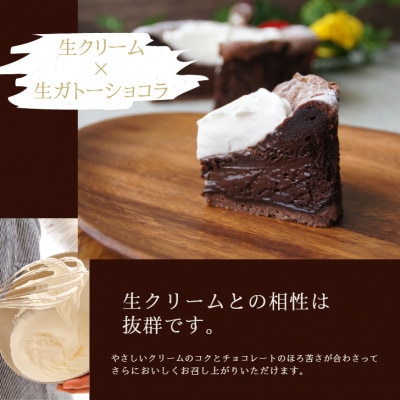 生ガトーショコラ　5号　直径15cm