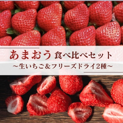 あまおう食べ比べセット【生いちご&フリーズドライ】(水巻町)