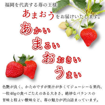【2026年1月下旬～順次発送予定】福岡県産あまおう合計約1,080g 約270g×4パック(水巻町