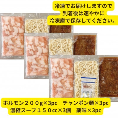 【黒毛和牛小腸】博多もつ鍋セット(濃縮テールスープ・チャンポン麺・薬味付)5～6人前