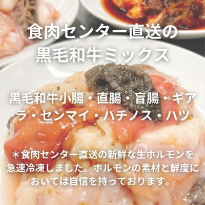【簡易版】黒毛和牛ミックス 博多もつ鍋(ミックスホルモン+濃縮スープ付)×3セット