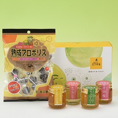 【はちみつセットA】4種のはちみつ各50g入りセット
