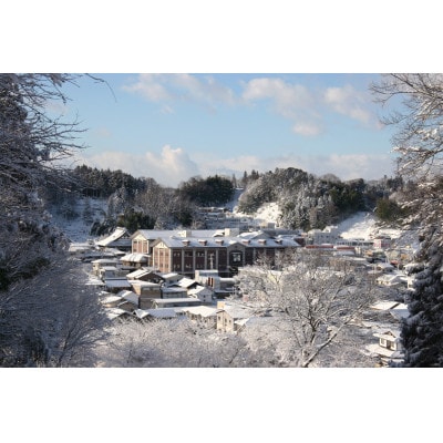 【大七酒造　生もと梅酒】720ml