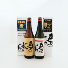 奥の松 あだたら吟醸・全米吟醸 720ml&times;各1本