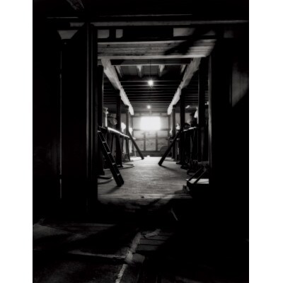 奥の松酒造　300ml×4種類　飲み比べセット