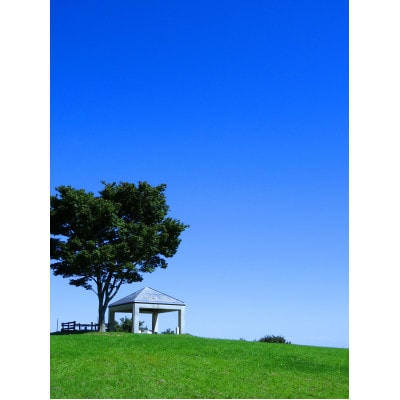 眺望の温泉保養館スカイピアあだたら　日帰り温泉利用券2名分