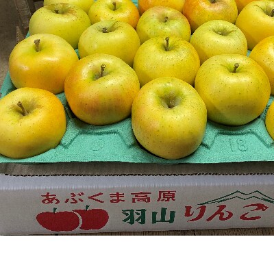 羽山りんご　品種おまかせ(中生)5kg　玉数L(18玉)～3L(14玉)