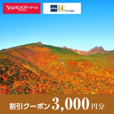 【福島県二本松市】一休.com・Yahoo!トラベル割引クーポン(3,000円分)