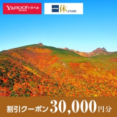 【福島県二本松市】一休.com・Yahoo!トラベル割引クーポン(30,000円分)