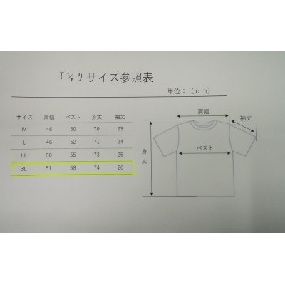 縁起物　大山忠作「龍」Tシャツ3Lサイズ・金龍マスクセット