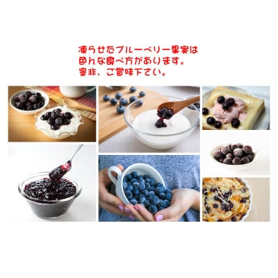 【2025年2月下旬発送】東京農工大学名誉教授「横山　正」ブランドのブルーベリー冷凍果実 約1kg
