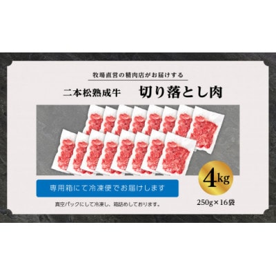 二本松熟成牛 切り落とし4kg(250g×16袋)小分け