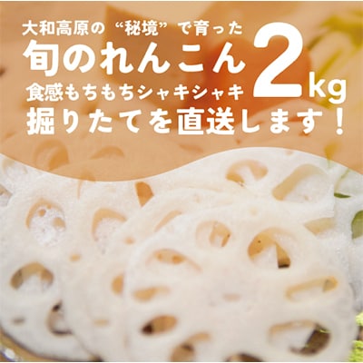 令和6年産予約受付　れんこん 2kg