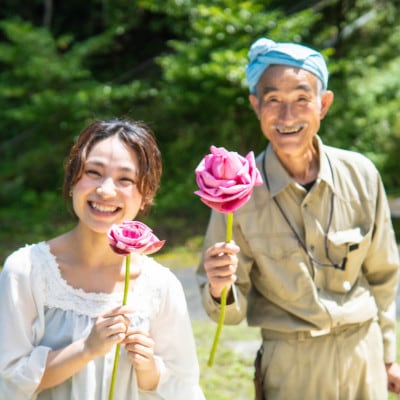 花ハス取り体験1名様