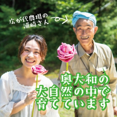 秘境の『蓮かをり茶』(1袋2g入り×5袋×2種類)