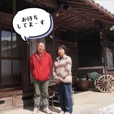 石窯でピザつくり体験[4名]