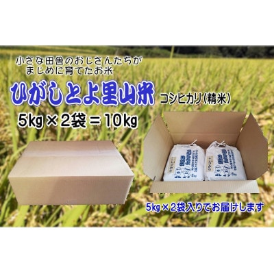 【令和7年産】ひがしとよ里山米 精米10kg(5kg×2袋)