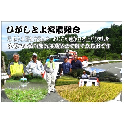 【令和7年産】ひがしとよ里山米 精米10kg(5kg×2袋)